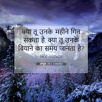 Picture 07 - अय्यूब 39:2 HINIRV - क्या तू उनके महीने - Bible Verse Picture