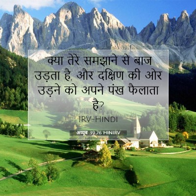 Picture 07 - अय्यूब 39:26 HINIRV - “क्या तेरे समझाने - Bible Verse Picture