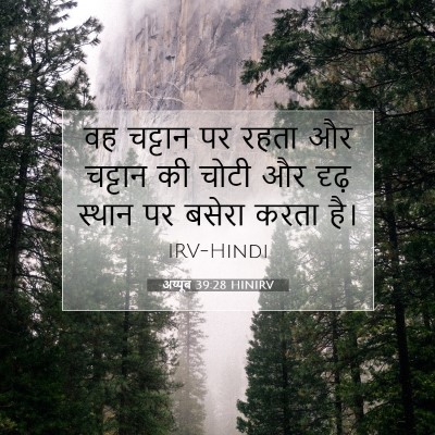 Picture 07 - अय्यूब 39:28 HINIRV - वह चट्टान पर रहता - Bible Verse Picture