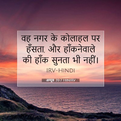Picture 07 - अय्यूब 39:7 HINIRV - वह नगर के कोलाहल पर - Bible Verse Picture