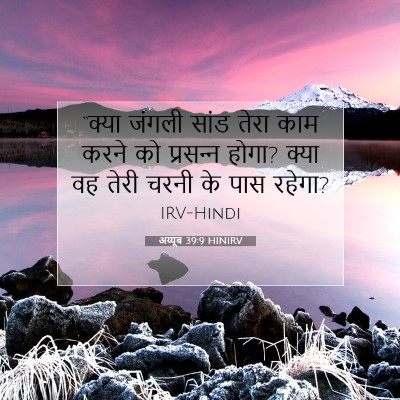 Picture 07 - अय्यूब 39:9 HINIRV - “क्या जंगली सांड - Bible Verse Picture