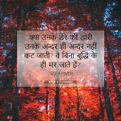 Picture 07 - अय्यूब 4:21 HINIRV - क्या उनके डेरे की - Bible Verse Picture