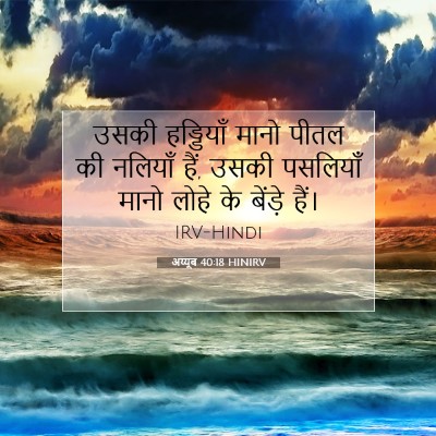 Picture 07 - अय्यूब 40:18 HINIRV - उसकी हड्डियाँ - Bible Verse Picture