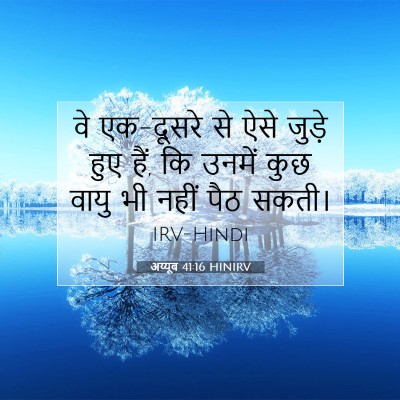 Picture 07 - अय्यूब 41:16 HINIRV - वे एक-दूसरे से ऐसे - Bible Verse Picture