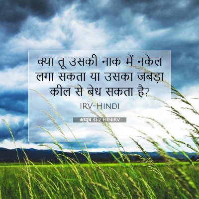 Picture 07 - अय्यूब 41:2 HINIRV - क्या तू उसकी नाक - Bible Verse Picture
