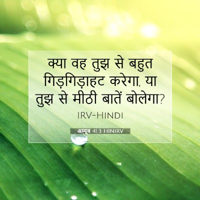 Picture 07 - अय्यूब 41:3 HINIRV - क्या वह तुझ से बहुत - Bible Verse Picture