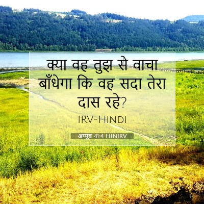 Picture 07 - अय्यूब 41:4 HINIRV - क्या वह तुझ से वाचा - Bible Verse Picture