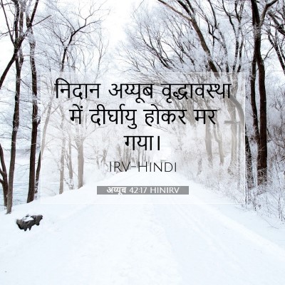 Picture 07 - अय्यूब 42:17 HINIRV - निदान अय्यूब - Bible Verse Picture