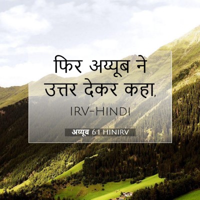 Picture 07 - अय्यूब 6:1 HINIRV - फिर अय्यूब ने - Bible Verse Picture