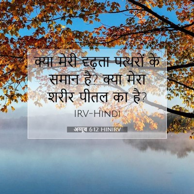 Picture 07 - अय्यूब 6:12 HINIRV - क्या मेरी दृढ़ता - Bible Verse Picture