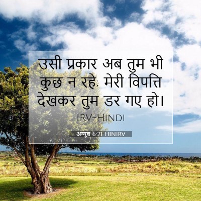 Picture 07 - अय्यूब 6:21 HINIRV - उसी प्रकार अब तुम - Bible Verse Picture