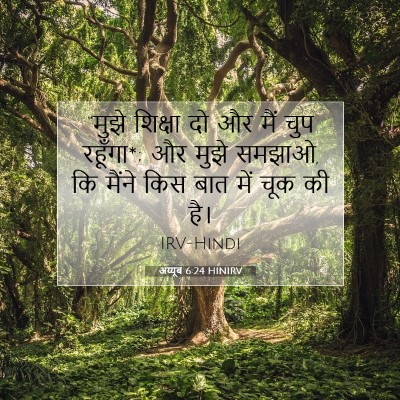 Picture 07 - अय्यूब 6:24 HINIRV - “मुझे शिक्षा दो और - Bible Verse Picture