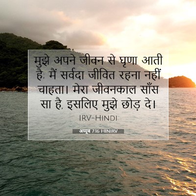 Picture 07 - अय्यूब 7:16 HINIRV - मुझे अपने जीवन से - Bible Verse Picture