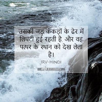 Picture 07 - अय्यूब 8:17 HINIRV - उसकी जड़ कंकड़ों - Bible Verse Picture