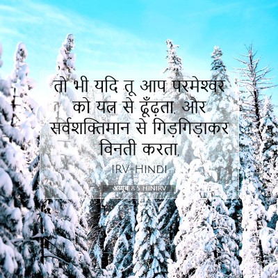 Picture 07 - अय्यूब 8:5 HINIRV - तो भी यदि तू आप - Bible Verse Picture