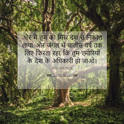 Picture 07 - आमोस 2:10 HINIRV - और मैं तुम को मिस्र - Bible Verse Picture
