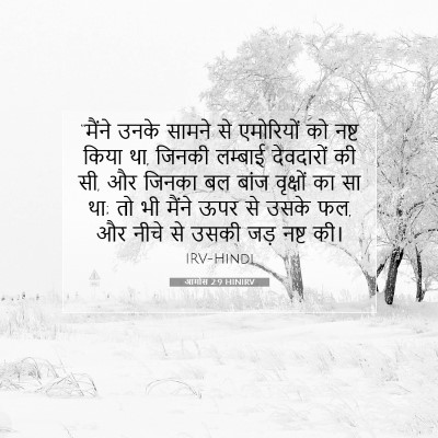 Picture 07 - आमोस 2:9 HINIRV - “मैंने उनके सामने - Bible Verse Picture