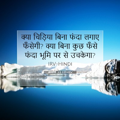 Picture 07 - आमोस 3:5 HINIRV - क्या चिड़िया बिना - Bible Verse Picture
