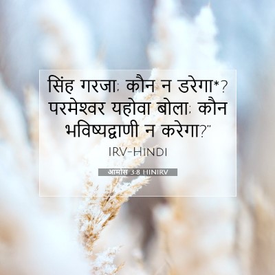 Picture 07 - आमोस 3:8 HINIRV - सिंह गरजा; कौन न - Bible Verse Picture