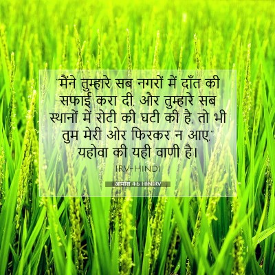 Picture 07 - आमोस 4:6 HINIRV - “मैंने तुम्हारे - Bible Verse Picture