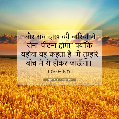 Picture 07 - आमोस 5:17 HINIRV - और सब दाख की - Bible Verse Picture