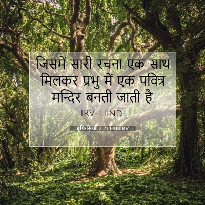 Picture 07 - इफिसियों 2:21 HINIRV - जिसमें सारी रचना - Bible Verse Picture