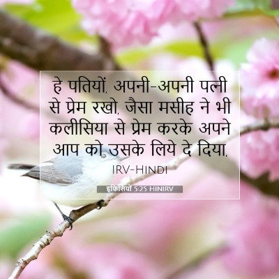 Picture 07 - इफिसियों 5:25 HINIRV - हे पतियों, - Bible Verse Picture