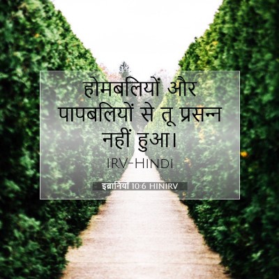 Picture 07 - इब्रानियों 10:6 HINIRV - होमबलियों और - Bible Verse Picture