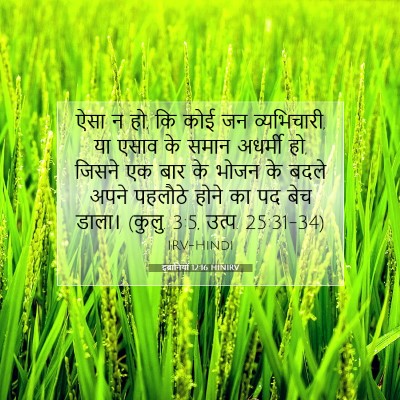 Picture 07 - इब्रानियों 12:16 HINIRV - ऐसा न हो, कि कोई जन - Bible Verse Picture