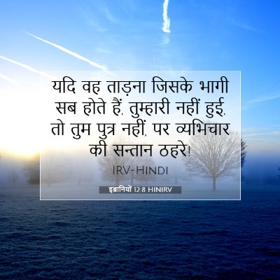 Picture 07 - इब्रानियों 12:8 HINIRV - यदि वह ताड़ना - Bible Verse Picture