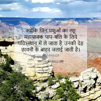 Picture 07 - इब्रानियों 13:11 HINIRV - क्योंकि जिन पशुओं - Bible Verse Picture