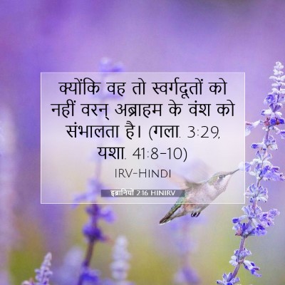 Picture 07 - इब्रानियों 2:16 HINIRV - क्योंकि वह तो - Bible Verse Picture
