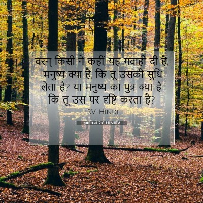 Picture 07 - इब्रानियों 2:6 HINIRV - वरन् किसी ने कहीं, - Bible Verse Picture