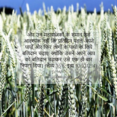 Picture 07 - इब्रानियों 7:27 HINIRV - और उन महायाजकों के - Bible Verse Picture