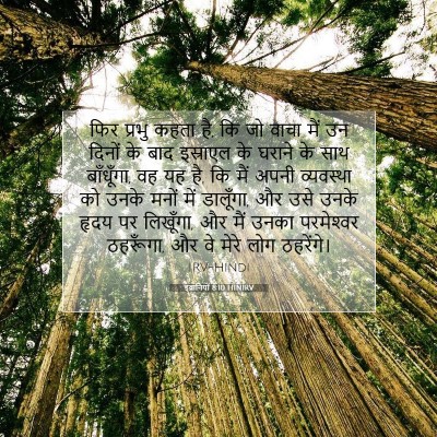 Picture 07 - इब्रानियों 8:10 HINIRV - फिर प्रभु कहता है, - Bible Verse Picture