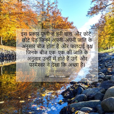 Picture 07 - उत्पत्ति 1:12 HINIRV - इस प्रकार पृथ्वी - Bible Verse Picture