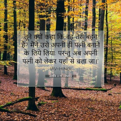 Picture 07 - उत्पत्ति 12:19 HINIRV - तूने क्यों कहा कि - Bible Verse Picture
