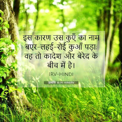 Picture 07 - उत्पत्ति 16:14 HINIRV - इस कारण उस कुएँ का - Bible Verse Picture