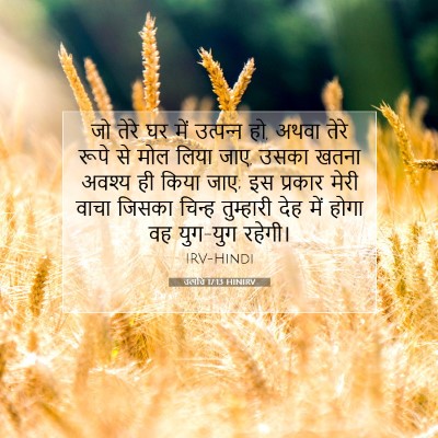 Picture 07 - उत्पत्ति 17:13 HINIRV - जो तेरे घर में - Bible Verse Picture