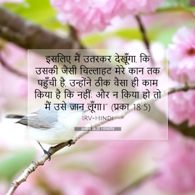 Picture 07 - उत्पत्ति 18:21 HINIRV - इसलिए मैं उतरकर - Bible Verse Picture