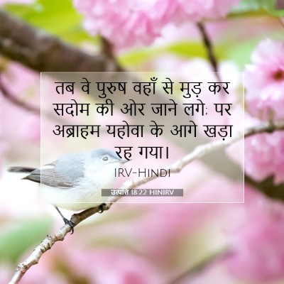 Picture 07 - उत्पत्ति 18:22 HINIRV - तब वे पुरुष वहाँ से - Bible Verse Picture
