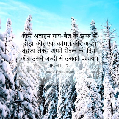 Picture 07 - उत्पत्ति 18:7 HINIRV - फिर अब्राहम - Bible Verse Picture