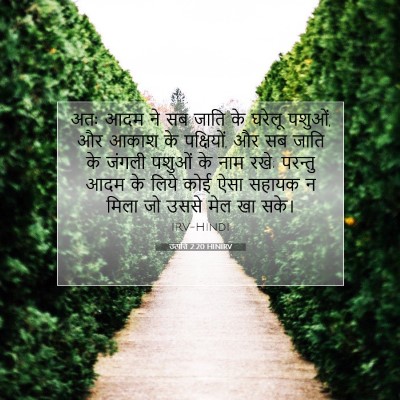Picture 07 - उत्पत्ति 2:20 HINIRV - अतः आदम ने सब जाति - Bible Verse Picture