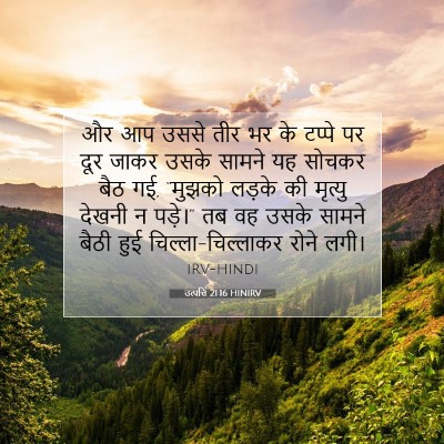 Picture 07 - उत्पत्ति 21:16 HINIRV - और आप उससे तीर भर - Bible Verse Picture