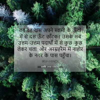 Picture 07 - उत्पत्ति 24:10 HINIRV - तब वह दास अपने - Bible Verse Picture