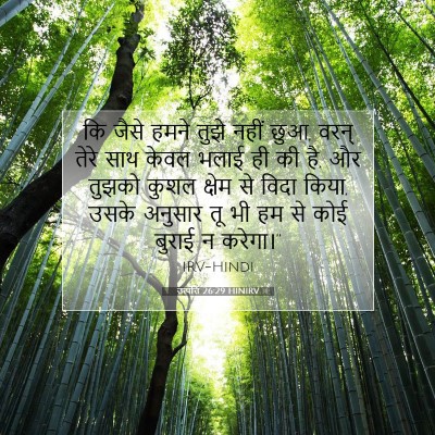 Picture 07 - उत्पत्ति 26:29 HINIRV - कि जैसे हमने तुझे - Bible Verse Picture