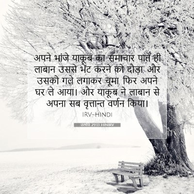 Picture 07 - उत्पत्ति 29:13 HINIRV - अपने भांजे याकूब - Bible Verse Picture