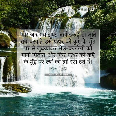 Picture 07 - उत्पत्ति 29:3 HINIRV - और जब सब झुण्ड वहाँ - Bible Verse Picture