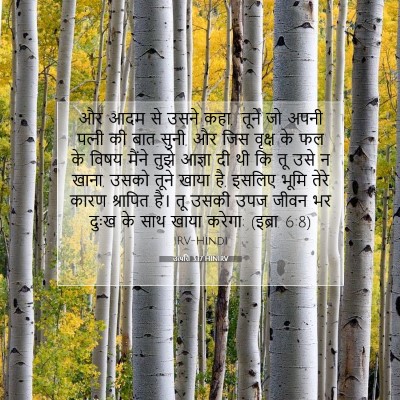Picture 07 - उत्पत्ति 3:17 HINIRV - और आदम से उसने कहा, - Bible Verse Picture