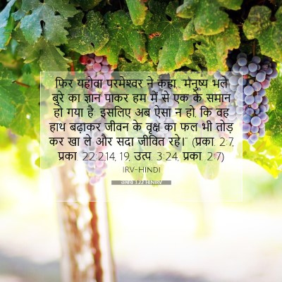 Picture 07 - उत्पत्ति 3:22 HINIRV - फिर यहोवा - Bible Verse Picture